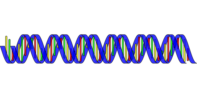 šroubovice DNA ilustrace